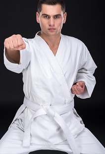 Beginner's Martial Arts